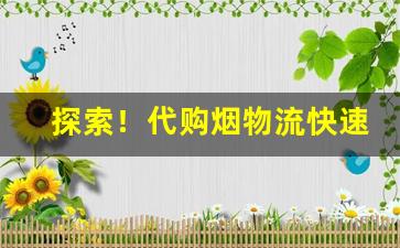 探索！代购烟物流快速稳定“发言盈庭”