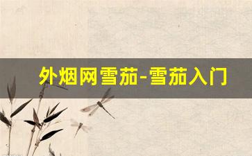 外烟网雪茄-雪茄入门价格表短支