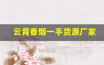 云霄香烟一手货源厂家中华烟-云霄香烟价格表2024价目表
