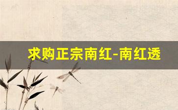 求购正宗南红-南红透光注胶后的图片