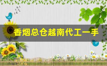 香烟总仓越南代工一手货源-越南烟一手批发南宁
