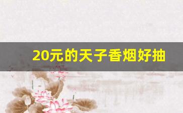 20元的天子香烟好抽吗-20元左右的天子香烟