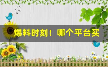 爆料时刻！哪个平台买烟靠谱正规“谔谔之臣”