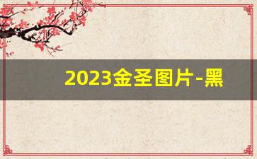 2023金圣图片-黑色金圣图片
