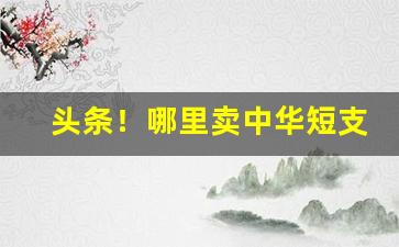 头条！哪里卖中华短支香烟“垂没之命”