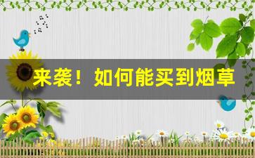 来袭！如何能买到烟草内部的品尝烟“豆蔻梢头”