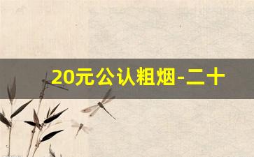 20元公认粗烟-二十元内最好抽的烟
