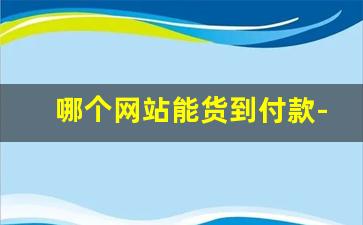 哪个网站能货到付款-真实的货到付款商品