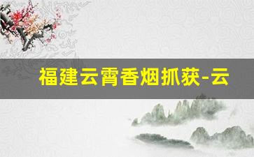 福建云霄香烟抓获-云霄县最新抓获假烟案件