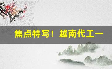 焦点特写！越南代工一手货源货到付款“偿其大欲”