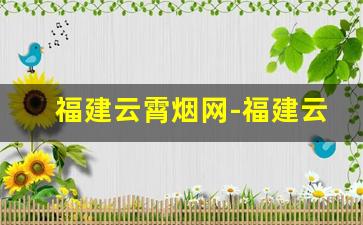 福建云霄烟网-福建云霄县的香烟