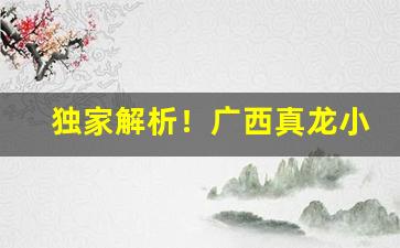独家解析！广西真龙小白龙烟多少钱一包“多见广识”