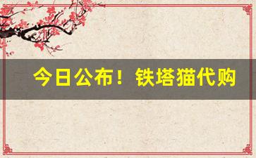 今日公布！铁塔猫代购可以一包买吗“覆水难收”