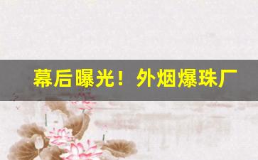 幕后曝光！外烟爆珠厂家渠道一手货源“出敌不意”