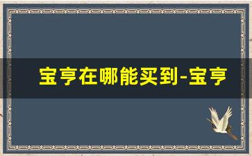 宝亨在哪能买到-宝亨品牌介绍