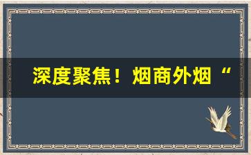 深度聚焦！烟商外烟“辨伪去妄”