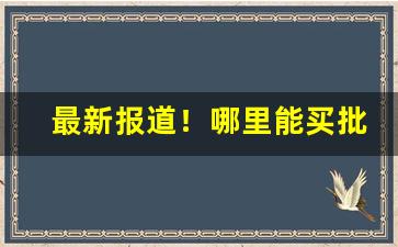 最新报道！哪里能买批发价的货“百辞莫辩”
