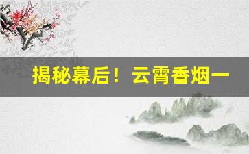 揭秘幕后！云霄香烟一手货源总仓批发最新厂址“倍道而进”