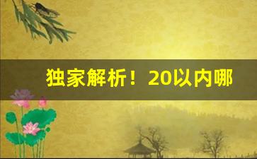 独家解析！20以内哪款香烟利润低“哀哀欲绝”