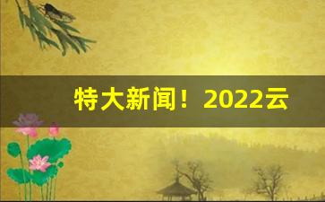 特大新闻！2022云霄香烟一手货源渠道微信“棣华增映”