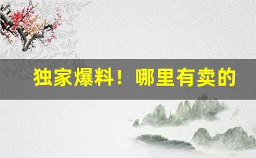 独家爆料！哪里有卖的黄山松“阿保之功”