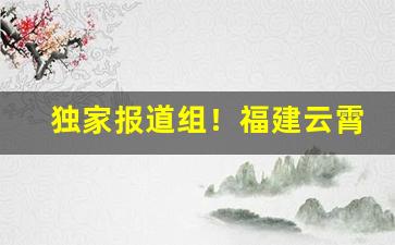 独家报道组！福建云霄卷烟厂官方顶级S货“度德量力”