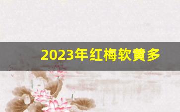 2023年红梅软黄多少钱一包-80年代红梅多少钱一包
