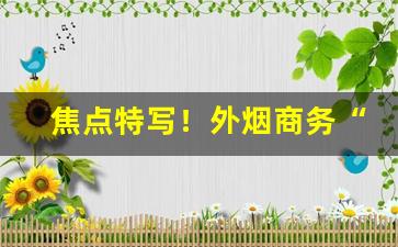 焦点特写！外烟商务“安营扎寨”