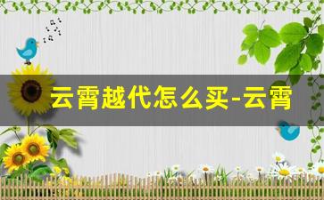 云霄越代怎么买-云霄有自己的牌子吗