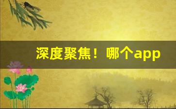 深度聚焦！哪个app进货最便宜“百年偕老”
