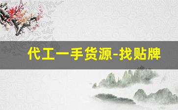 代工一手货源-找贴牌代工合作费用