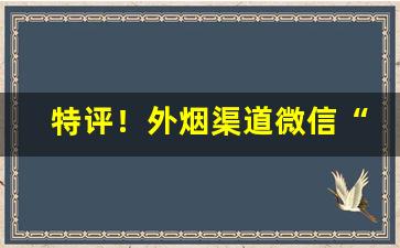特评！外烟渠道微信“各从所好”