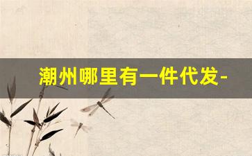 潮州哪里有一件代发-潮州一件代发价格实惠