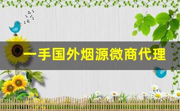 一手国外烟源微商代理-全国烟商交流