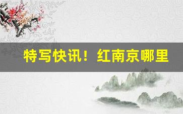 特写快讯！红南京哪里能买得到“大而化之”