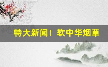 特大新闻！软中华烟草批发一条多少钱“内外交困”