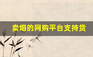 卖烟的网购平台支持货到付款全国包邮-有批发烟的电商平台