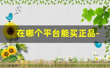 在哪个平台能买正品-去哪个网站能买到正品