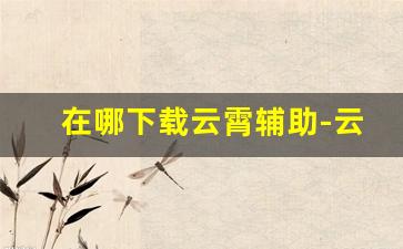 在哪下载云霄辅助-云霄app软件