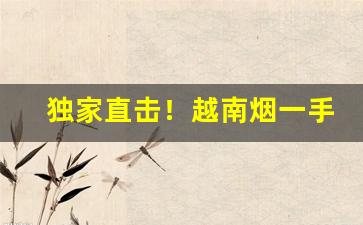 独家直击！越南烟一手批发广西当地“大饱眼福”