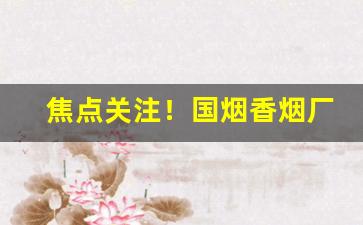 焦点关注！国烟香烟厂家直销一手货源“水滴石穿”