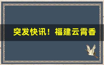 突发快讯！福建云霄香烟抓获“杵臼之交”