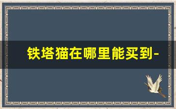 铁塔猫在哪里能买到-铁塔猫在沈阳哪里可以买到