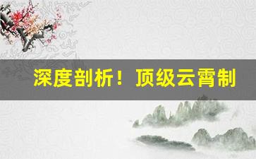 深度剖析！顶级云霄制烟厂官网“抄总儿”