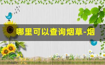 哪里可以查询烟草-烟草的专卖证号在哪里可以看到