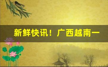 新鲜快讯！广西越南一手批发香烟“独步当时”