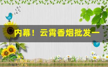 内幕！云霄香烟批发一手进货“巴人下里”