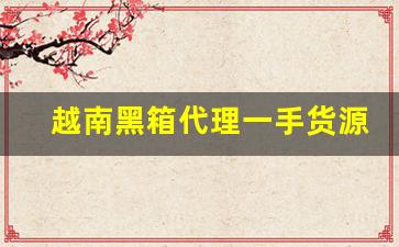 越南黑箱代理一手货源-俄货店正品货源渠道