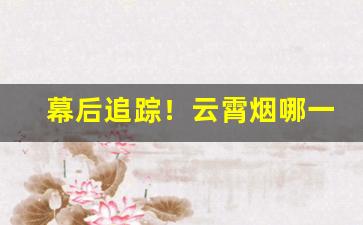 幕后追踪！云霄烟哪一款最好抽“才子佳人”