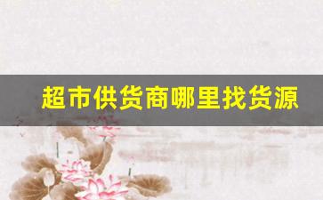 超市供货商哪里找货源-超市供货商免费铺货源头厂家直供